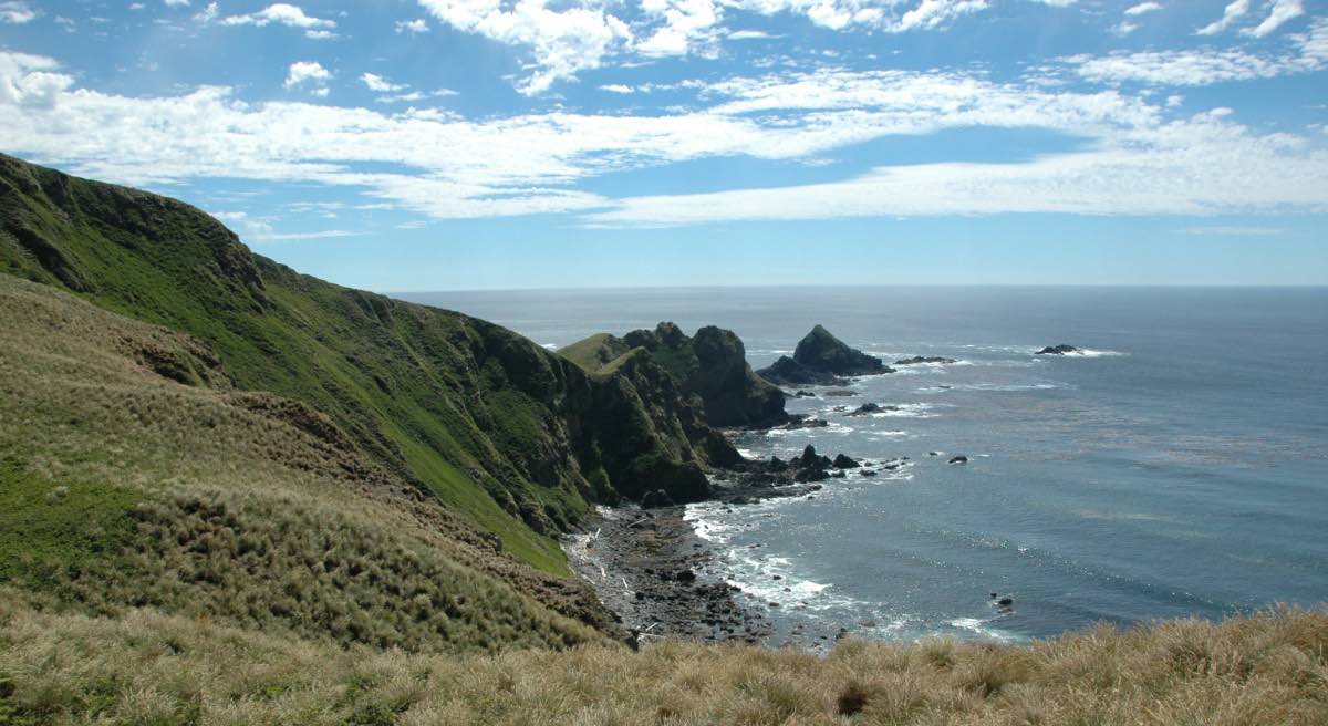 A ridge covered with green and brown grass is in the foreground and it curves around to the left and out into the distance. on the right is the ocean. The sky is blue with white clouds.