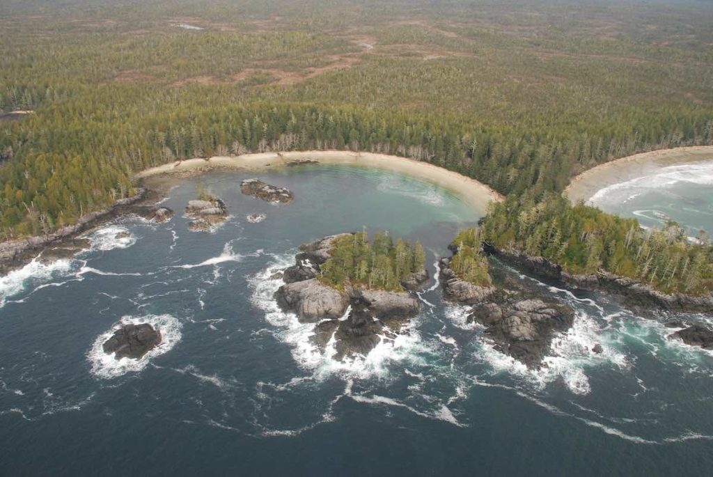 Arial view of Cape Caution with the ocean on the bottom half and evergreen forest covering the upper half. The land has two round inlets and some scattered islands.